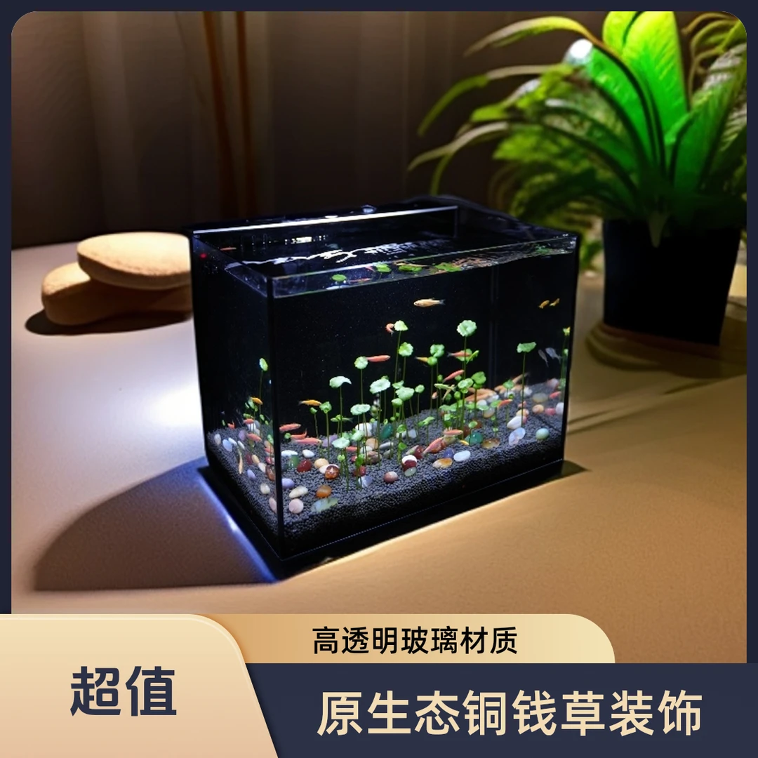 原生态铜钱草鱼缸尺寸40*30*30大号鱼缸