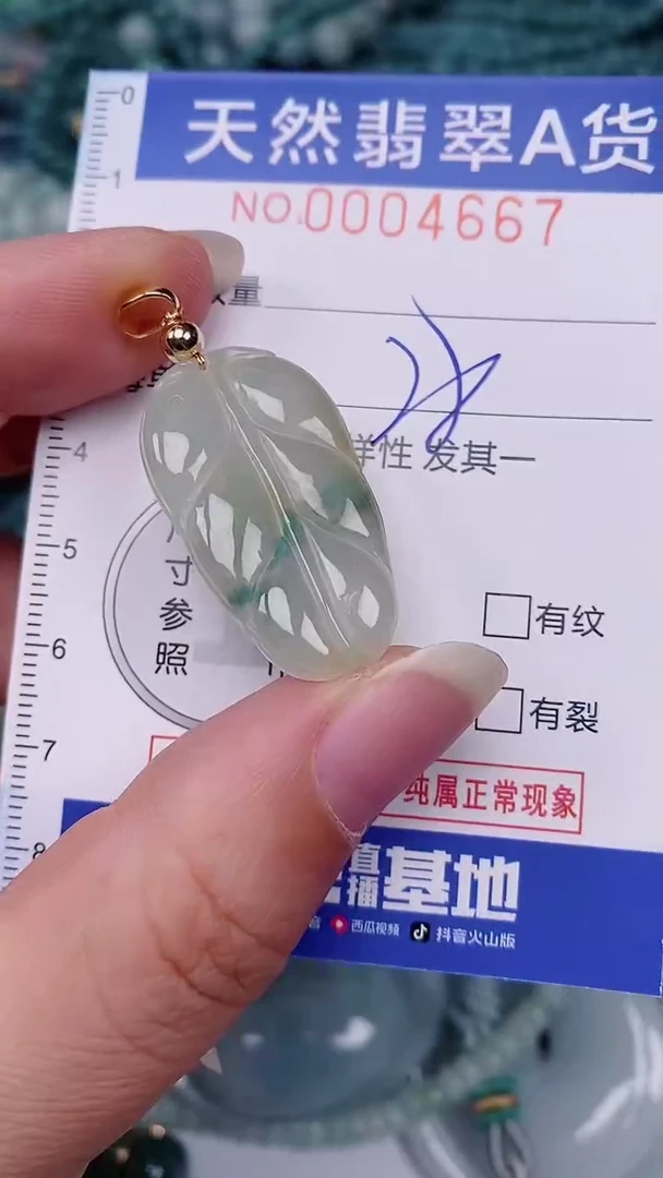 翡翠未镶嵌颈饰00004667