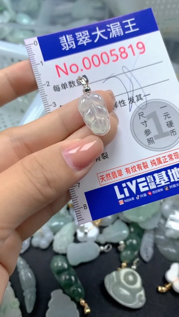 颈饰未镶嵌翡翠5819