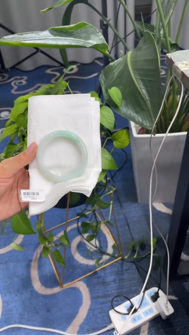 未镶嵌手镯翡翠8716****