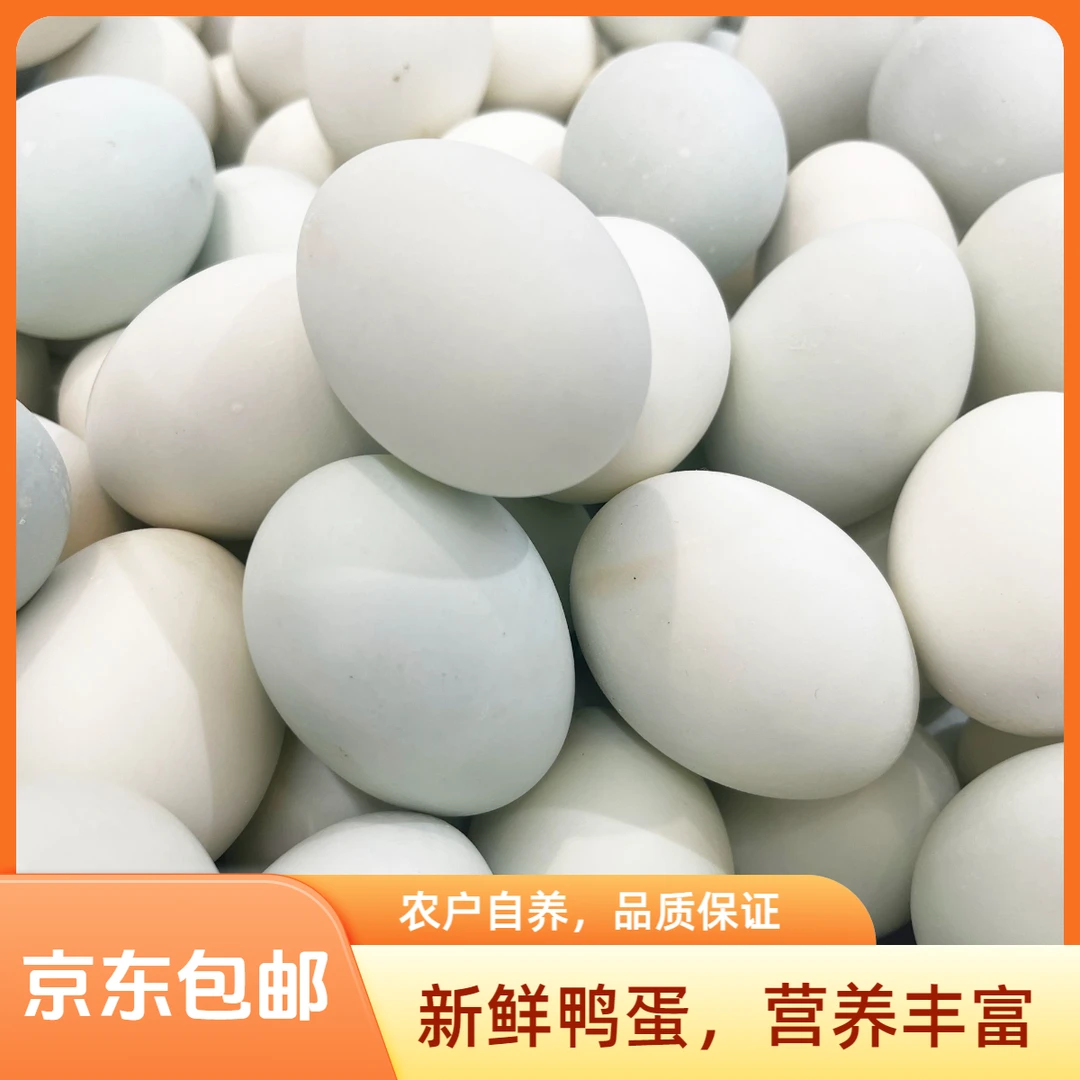 【四川苍溪】农户散养土鸭 土鸭蛋 新鲜