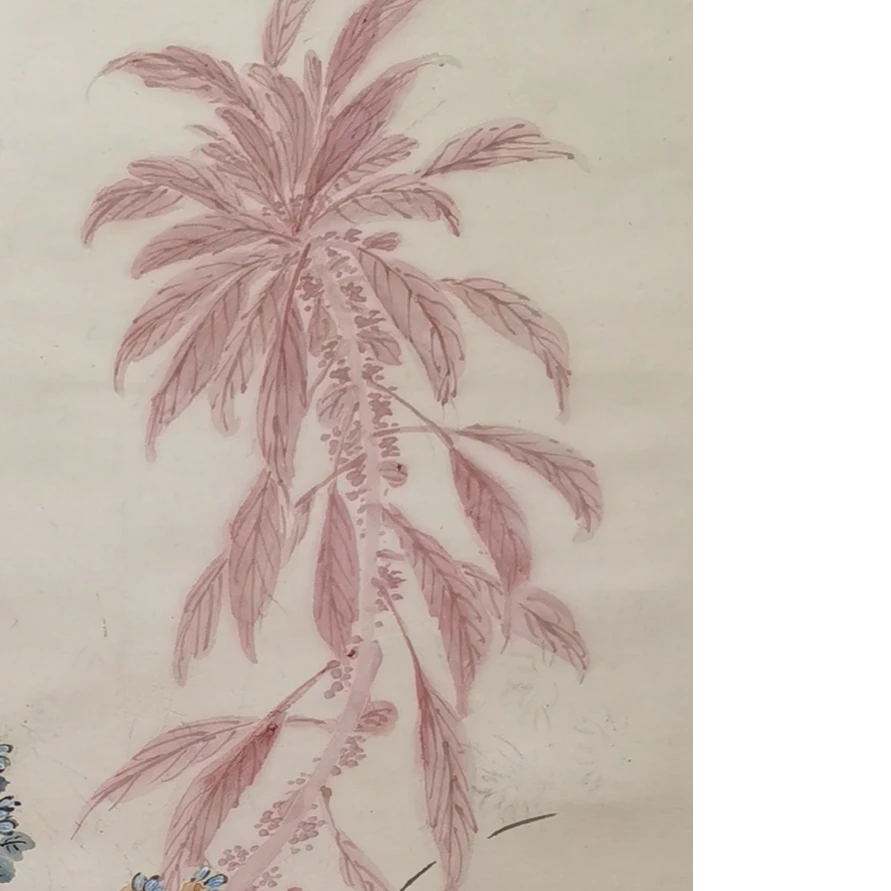 【辽拍】V250709-2-298《花卉》（2.3平尺）纸本镜片 lj1210