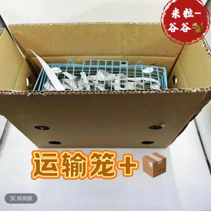 【包邮】三代运输笼饲养套装整套教程多个颜色可选择包路上风险