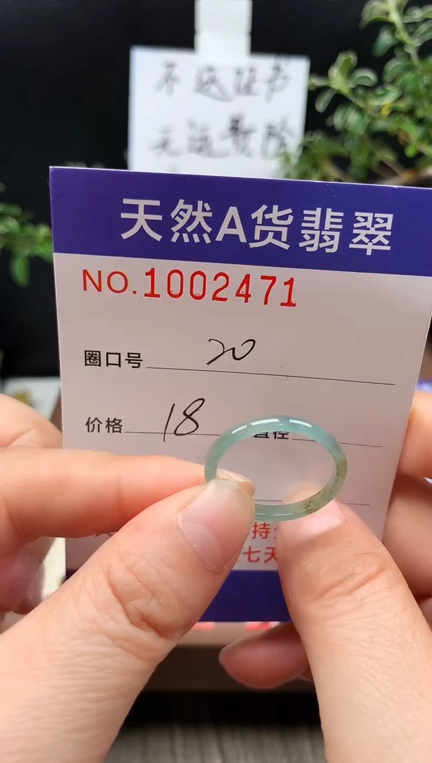 未镶嵌戒指翡翠20#
