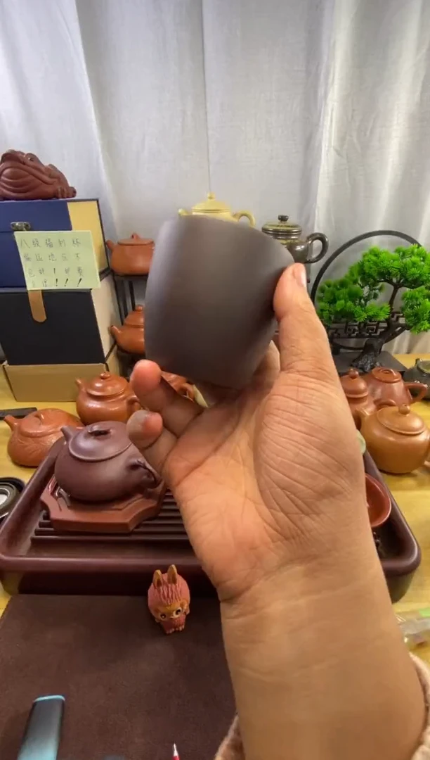 茶壶紫砂龙****程杯子一只