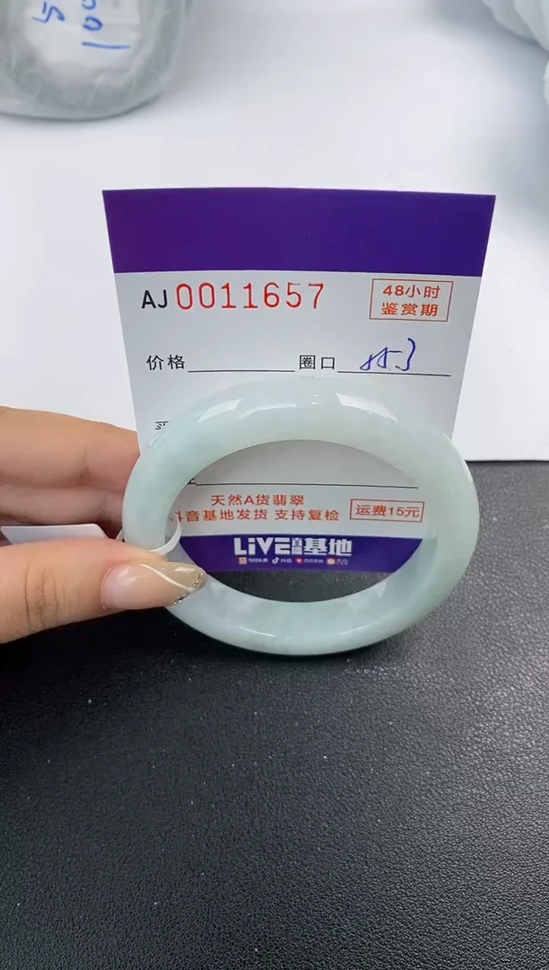 未镶嵌手镯翡翠天然A货翡翠