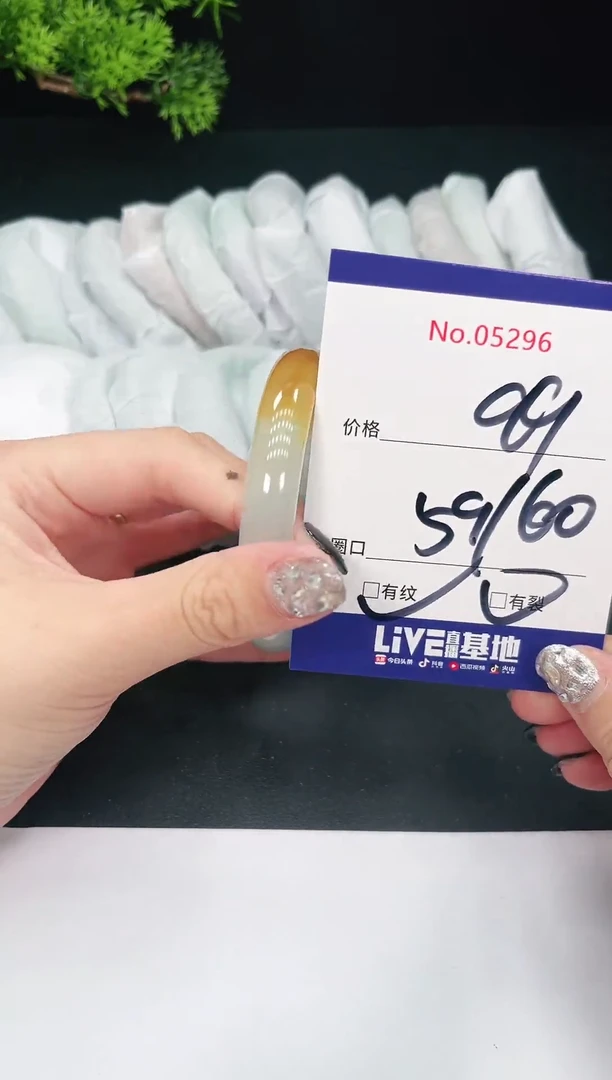 未镶嵌手镯翡翠05296