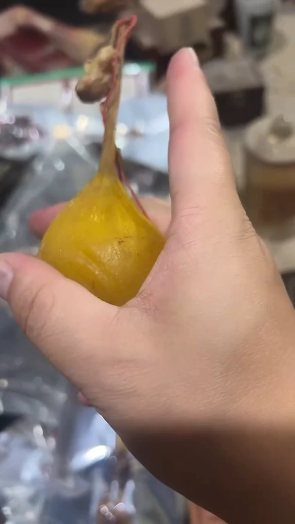 紫砂紫砂紫砂紫砂紫砂紫砂