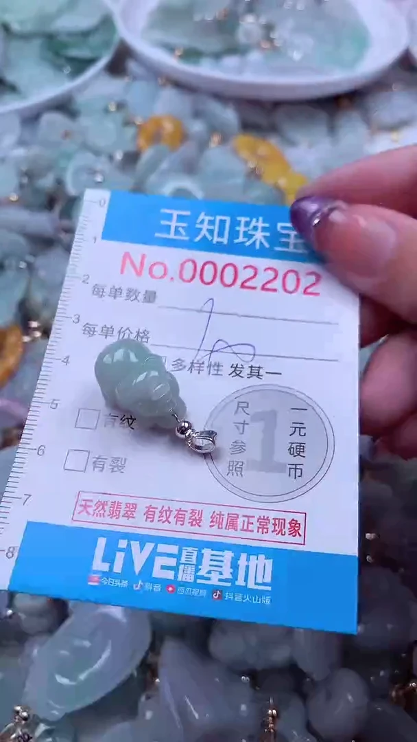 翡翠未镶嵌吊坠(不含链)2202