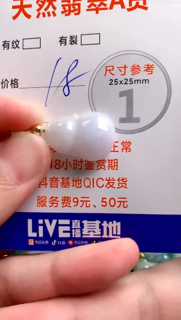 翡翠未镶嵌颈饰23001701