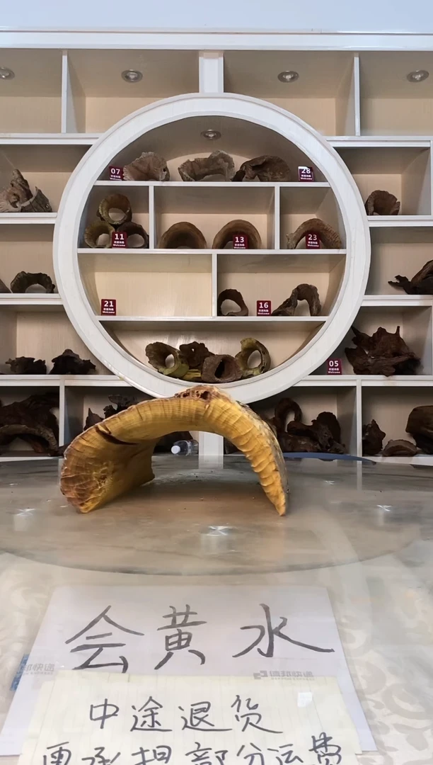 十*?鱼缸爬宠造景素材745