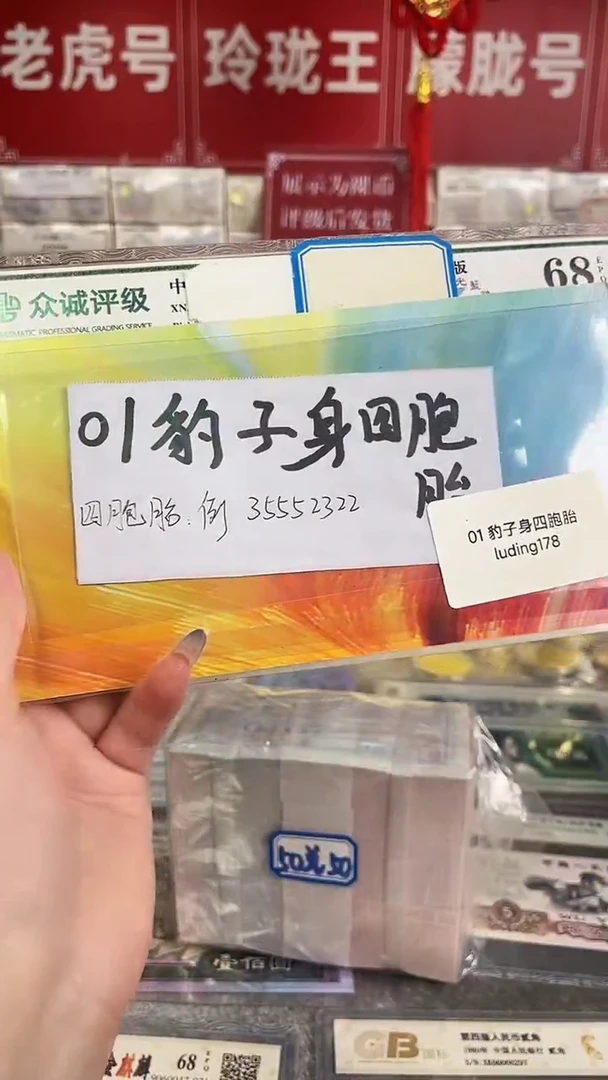 01豹子身四胞胎礼册