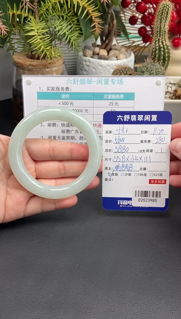 未镶嵌手镯翡翠小****^D2523985