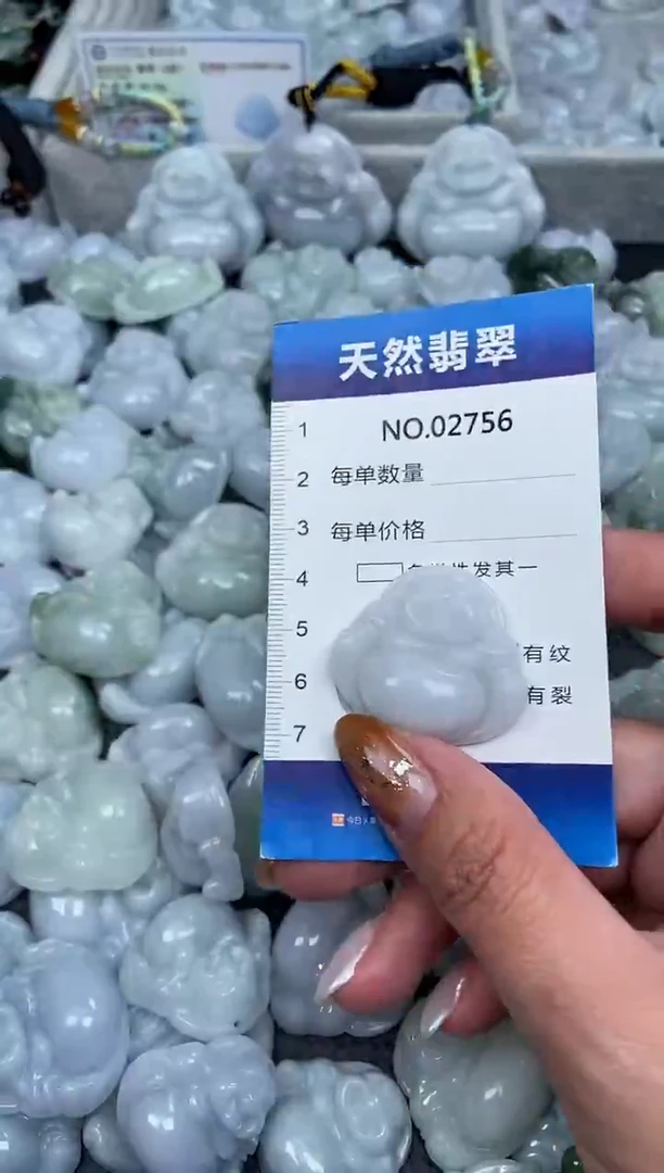 颈饰未镶嵌翡翠纯天然A货翡翠2756