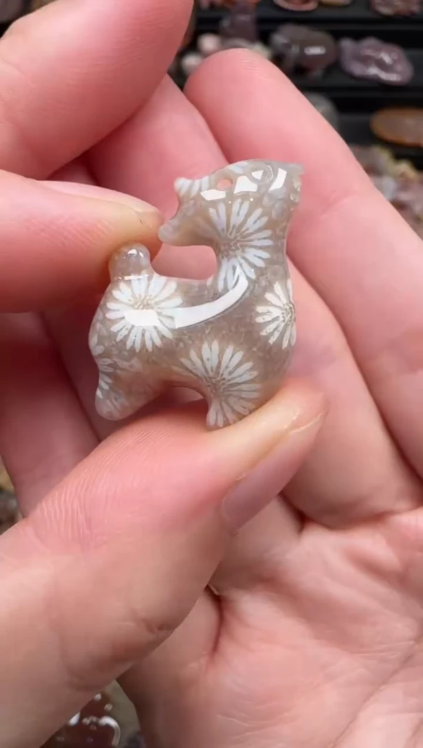 颈饰未镶嵌硅化珊瑚（珊瑚玉）116