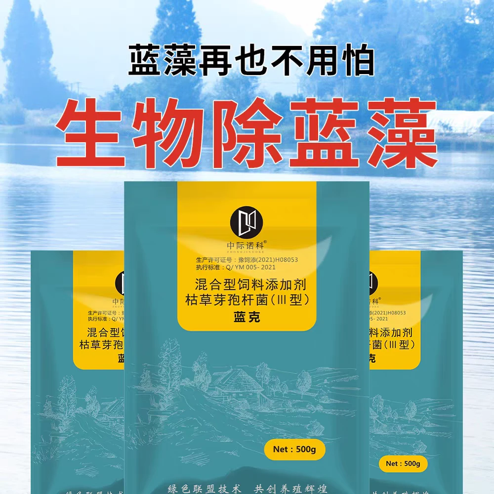蓝克蓝藻微囊藻绿藻净化水颤藻生物除藻藻毒素