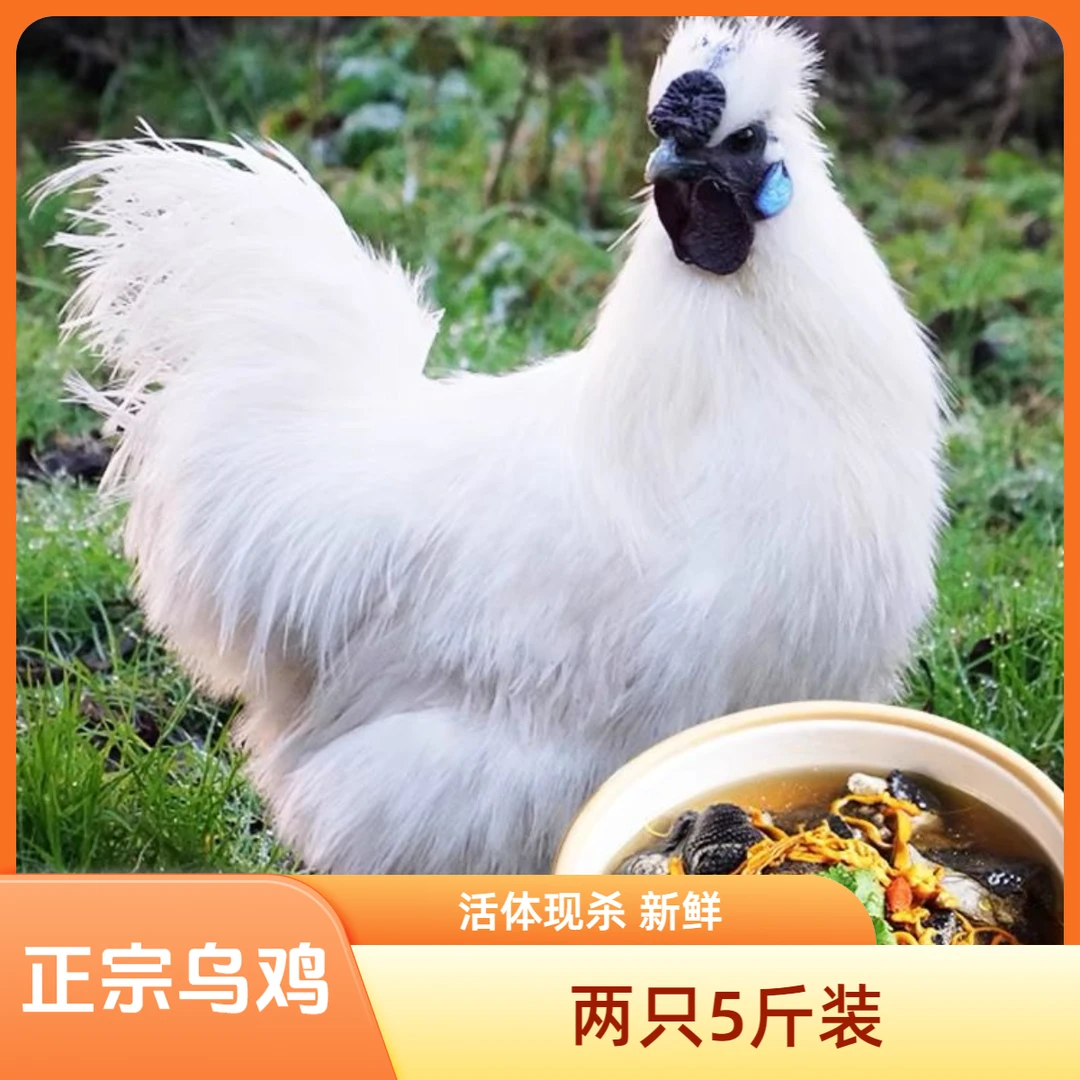 【两只5斤】大乌鸡新鲜现杀农家乌鸡冷冻优质乌骨鸡月子鸡滋补