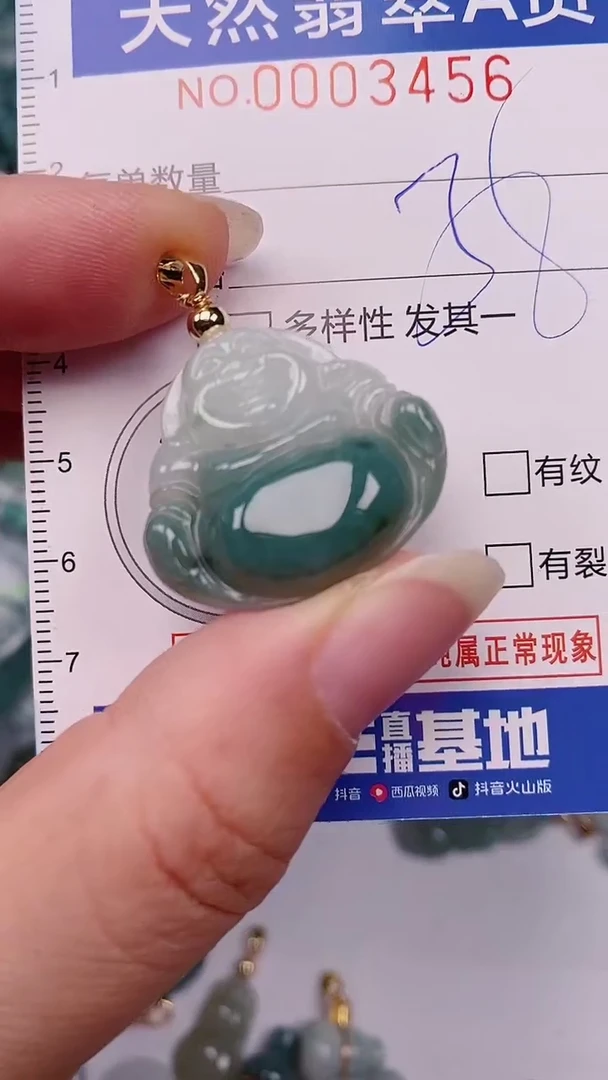翡翠未镶嵌颈饰00003456
