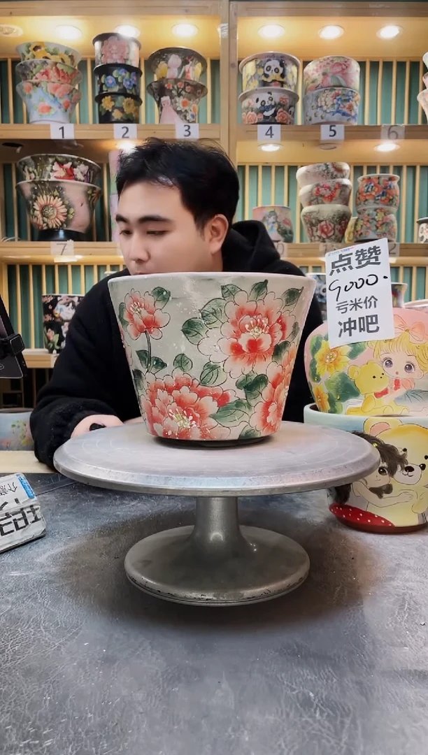 陶默认微瑕一物一拍1224-160