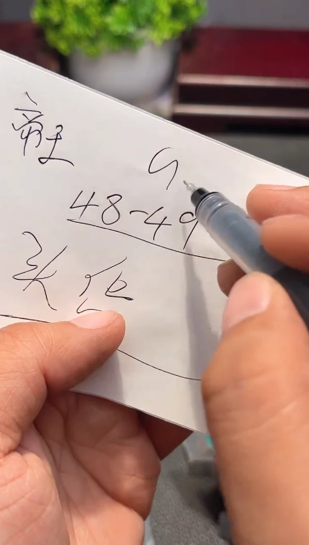 把件文玩核桃帝王文玩核桃⬛️48-49