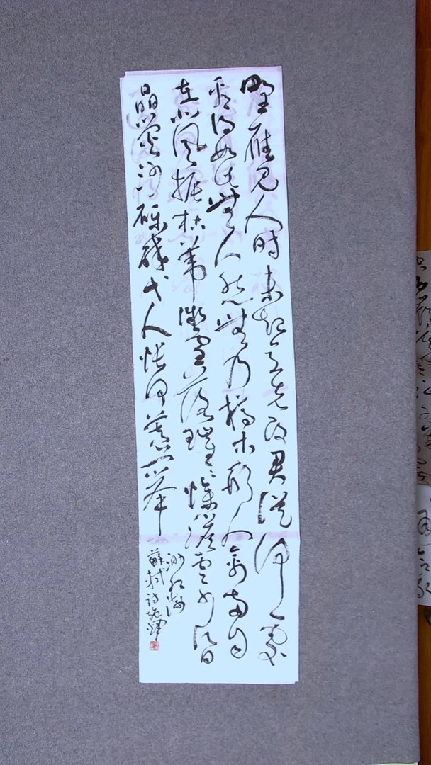 书法施辉 江西新余138*34四平尺