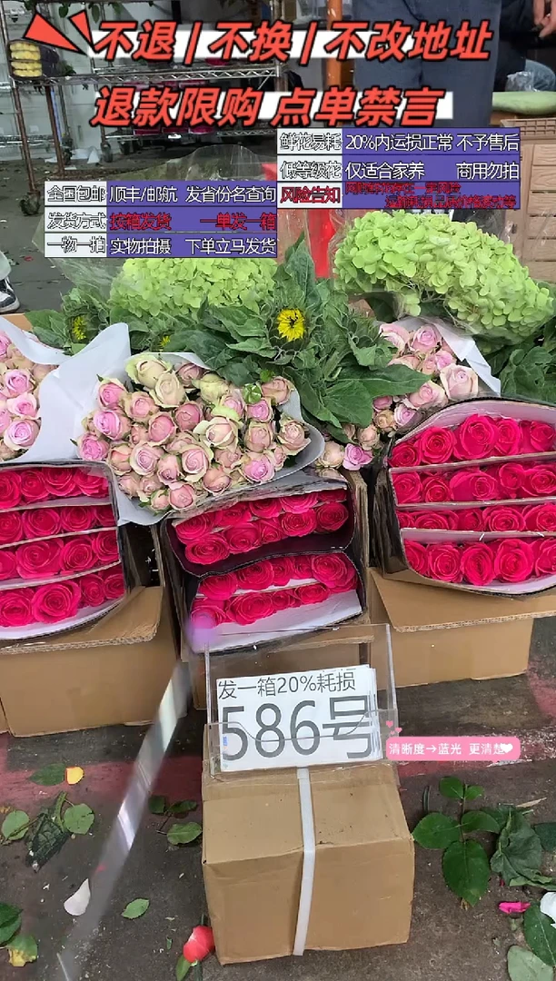 586号♥含20%耗损发一箱