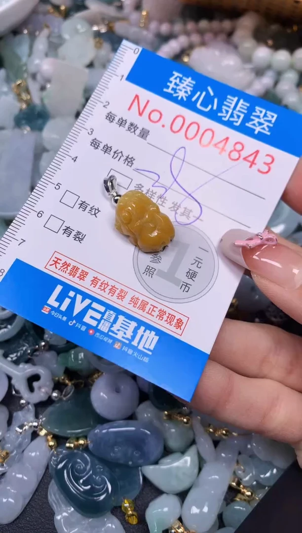 【闪购商品】翡翠颈饰未镶嵌含绳0004843