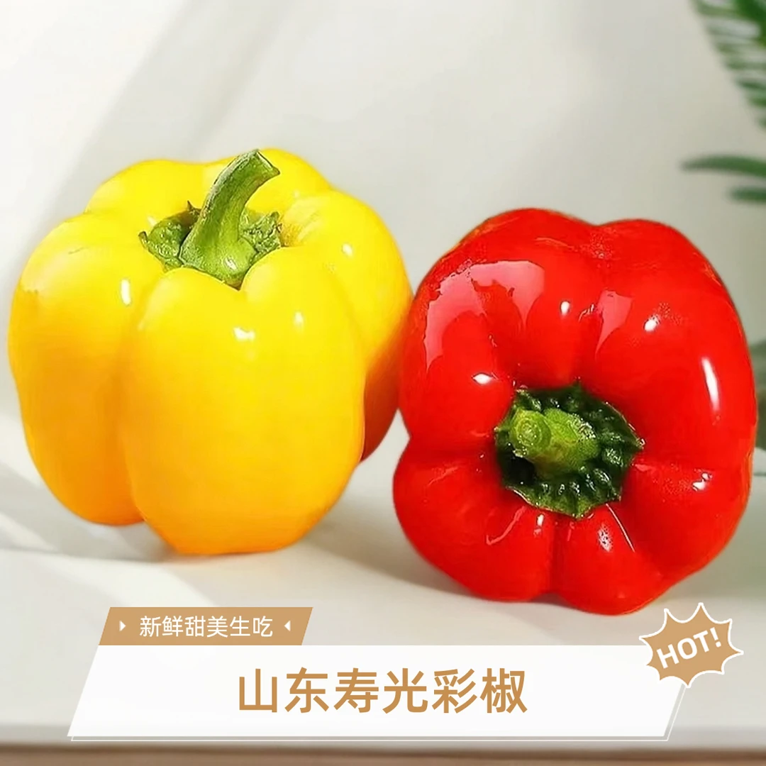 【水果彩椒】山东寿光新鲜五彩甜椒生吃七彩红灯笼红辣椒辣椒蔬菜