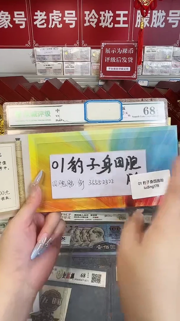 01豹子身四胞胎礼册