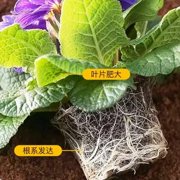 营养土通用型养花种菜土大包有机土果蔬种植土月季盆栽种花营养土