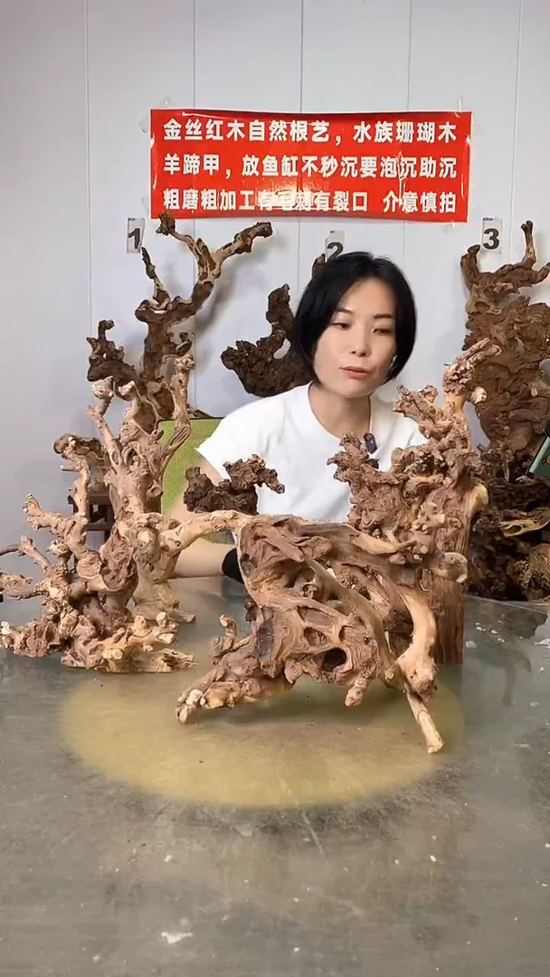 香榧木金丝红木 羊蹄甲