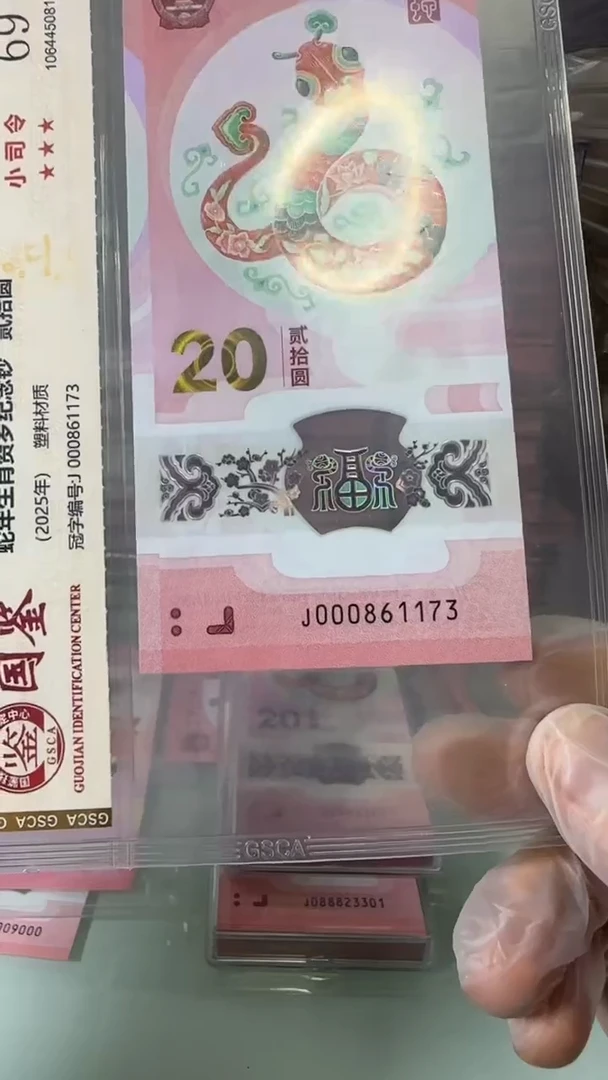 【闪购商品】塑料000861173-蛇钞单张！