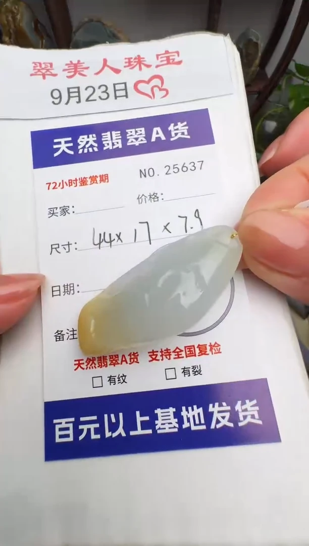 颈饰未镶嵌翡翠原石25637