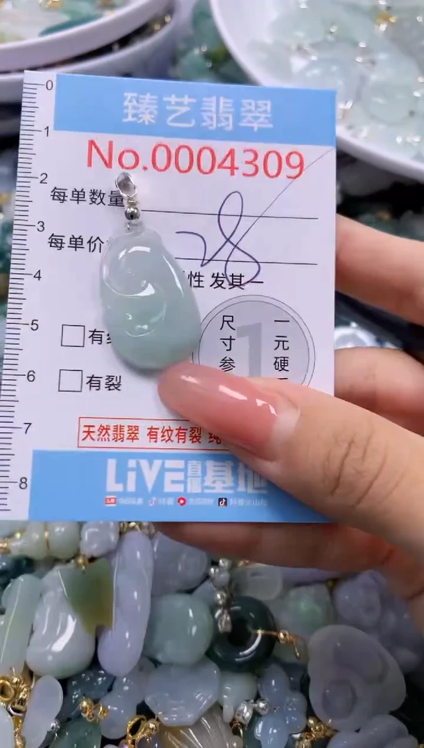 翡翠未镶嵌吊坠(不含链)4309