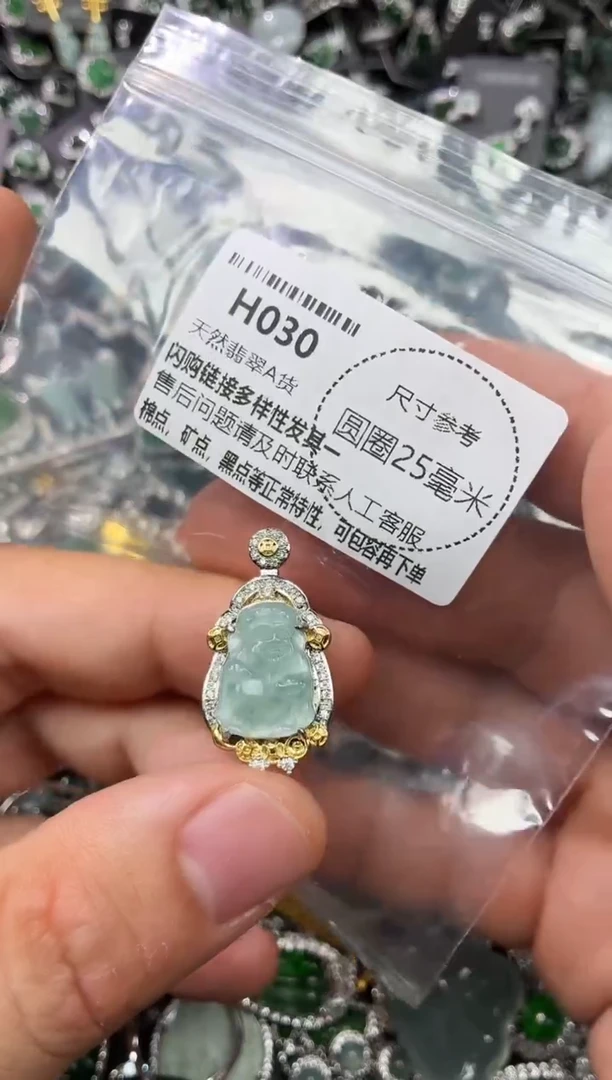 翡翠未镶嵌颈饰H030吊坠