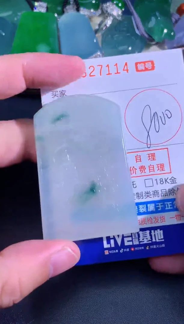 颈饰未镶嵌翡翠天然A货翡翠