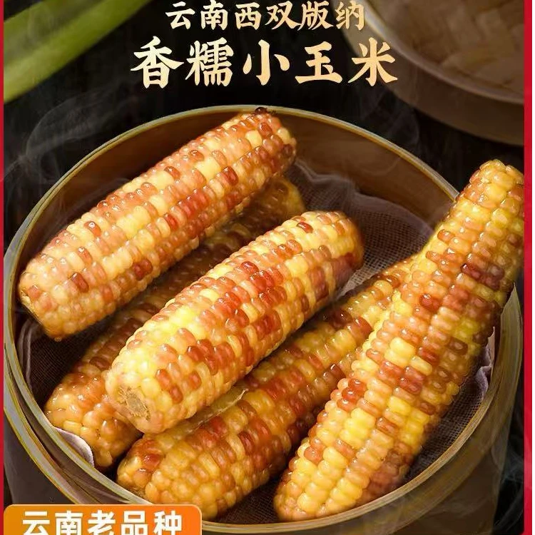 云南小玉米 甜糯软香 礼盒2千克/装