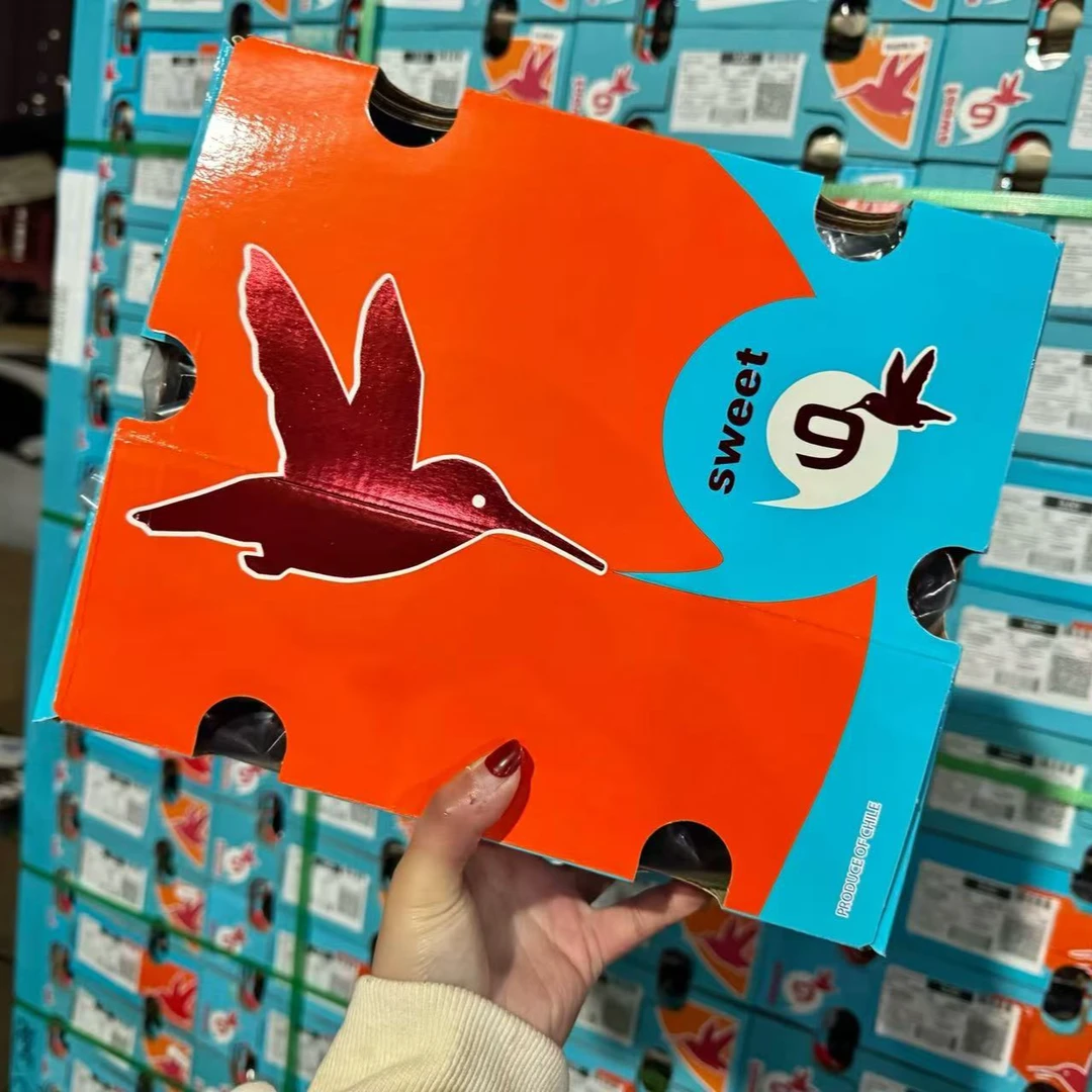 九头鸟海运智利车厘子瑞吉娜 2JDD 5斤、10斤净果 表妹 内附果径卡