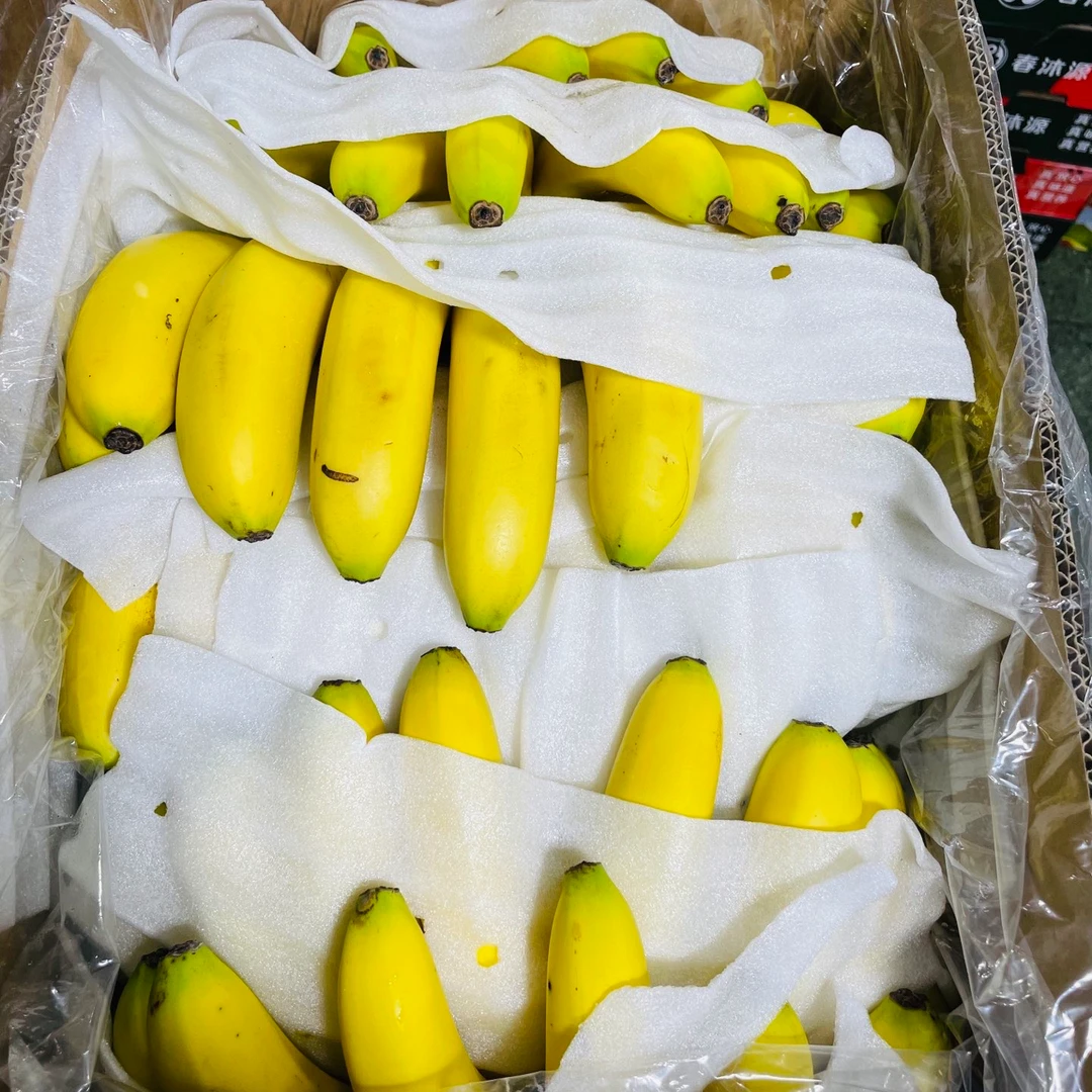【香蕉】香蕉整箱20斤苹果蕉吉林省
