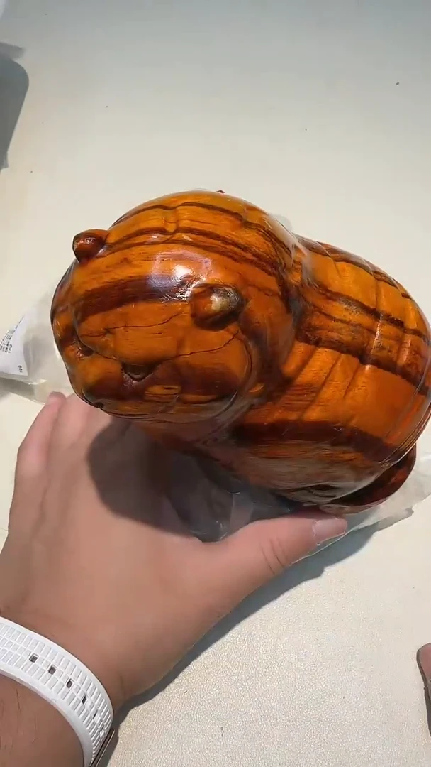 瓷片都是大宝贝儿都是大漂亮****269