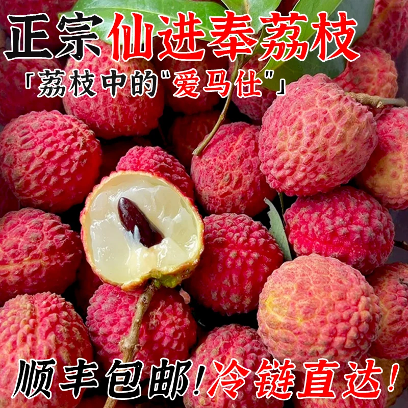 【顺丰冷链】正宗仙进奉荔枝3-5斤带箱现摘新鲜水果应当季整箱包邮