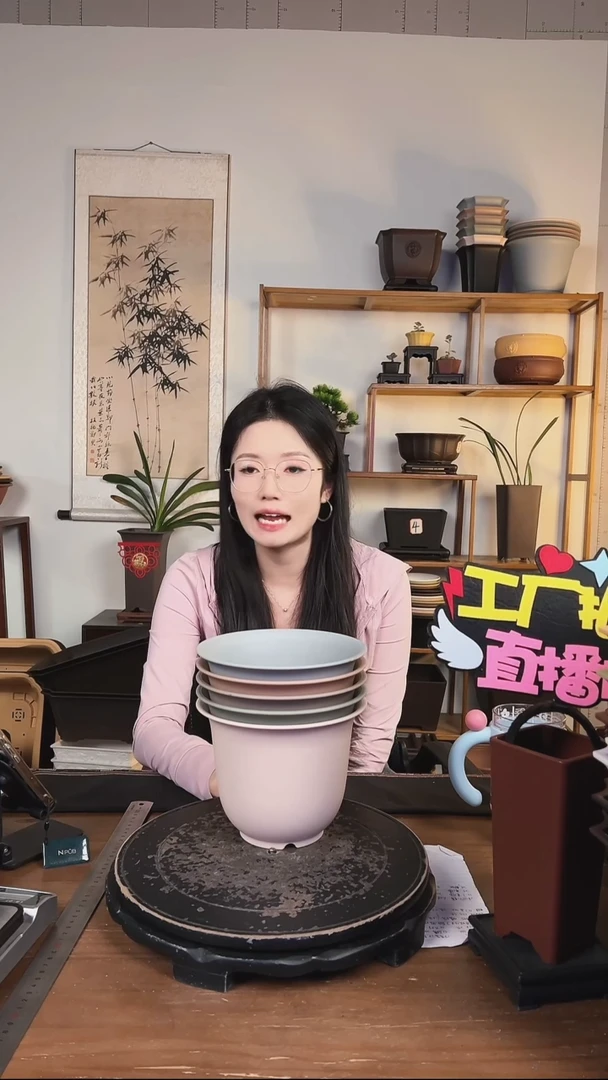 5只18口径金钟马卡龙色系