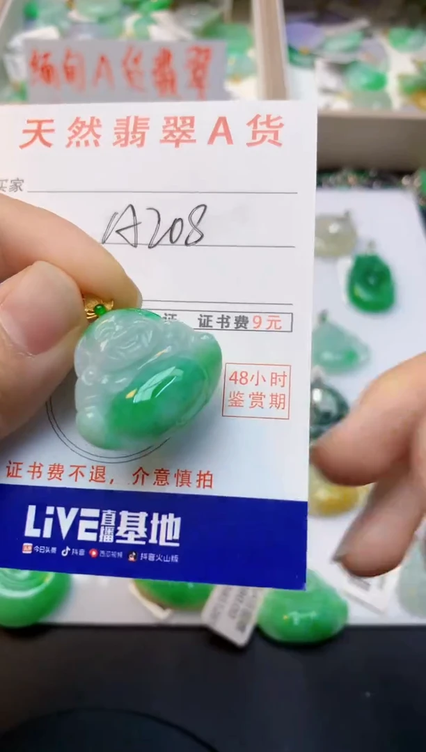 颈饰18K金镶嵌翡翠天然缅甸A货翡翠百元以上9元证书费自理