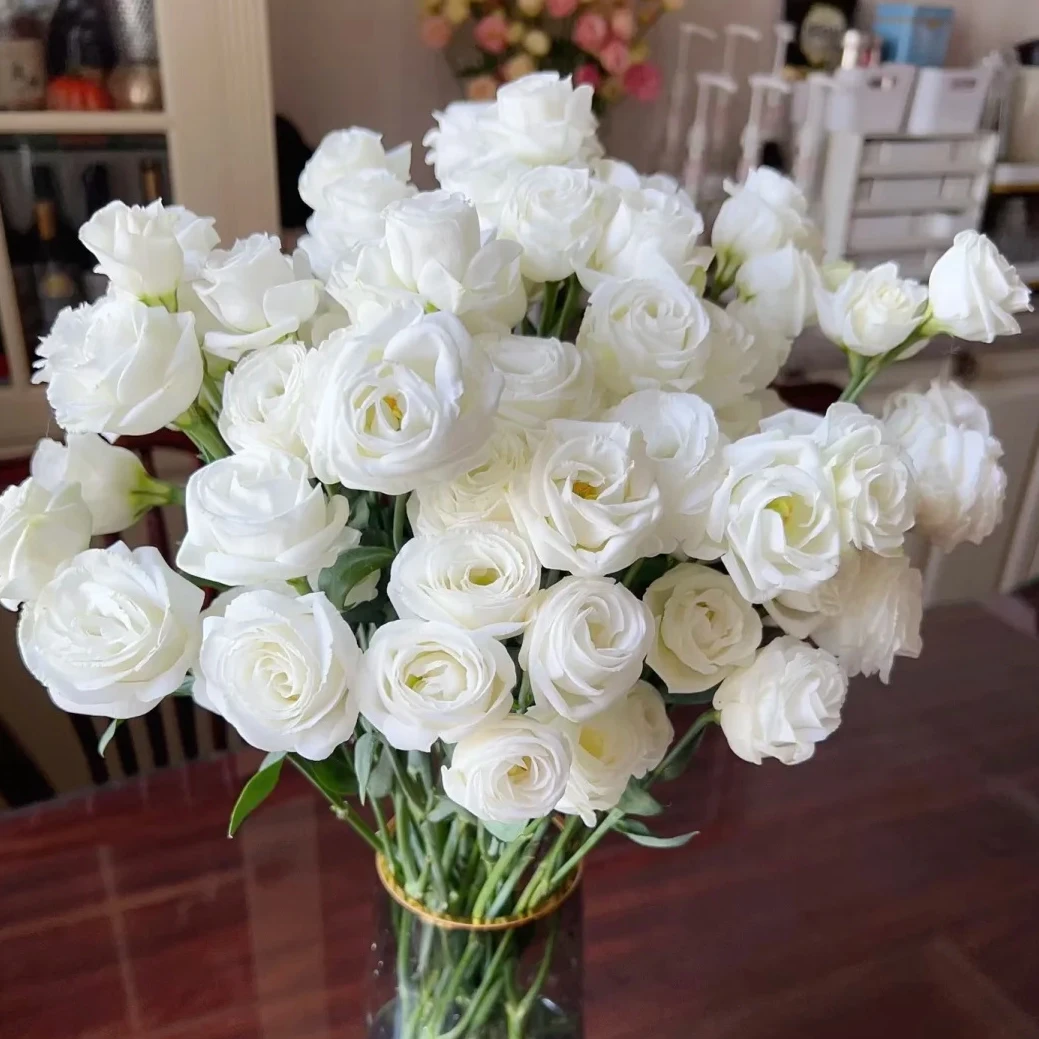 【白色洋桔梗400g】云南鲜花 全店任意两件包邮送货上门