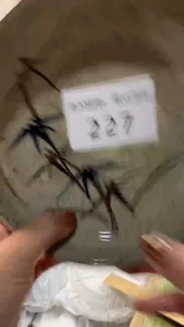 其他陶花****雾227满20包邮，感谢支持。