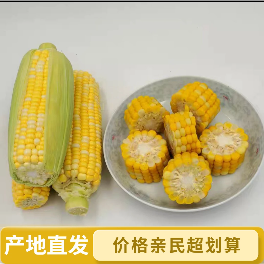 云南新鲜水果甜玉米产地现摘现发可生吃（中小果）