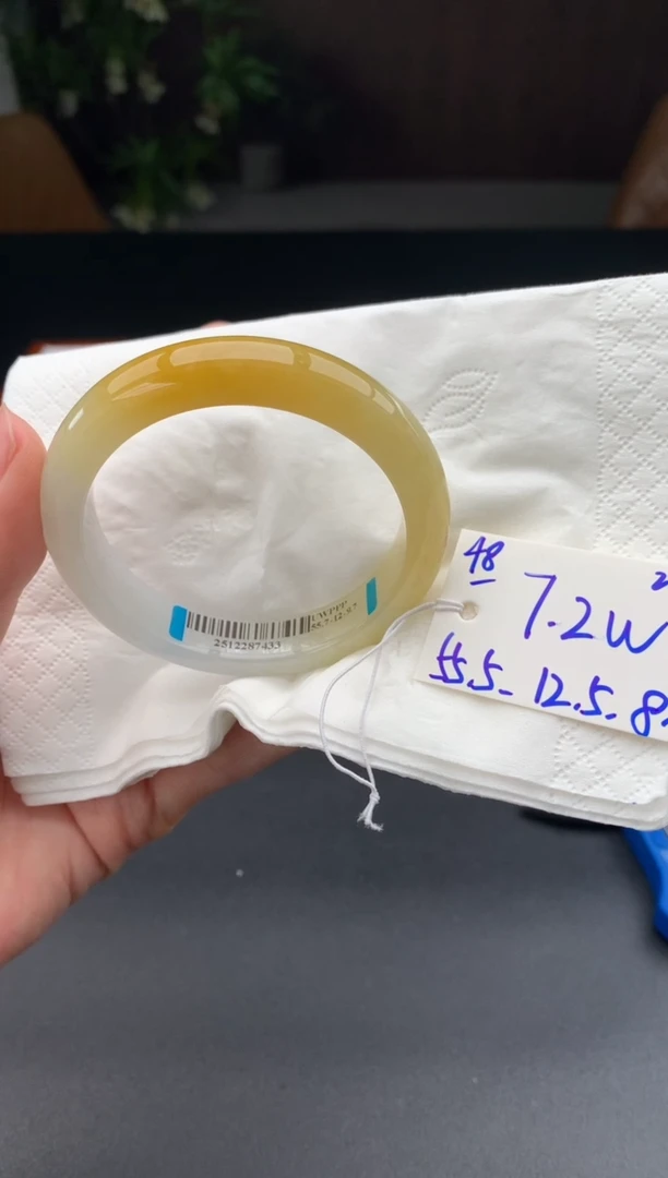 未镶嵌手镯翡翠翡翠手镯#48 圈口55