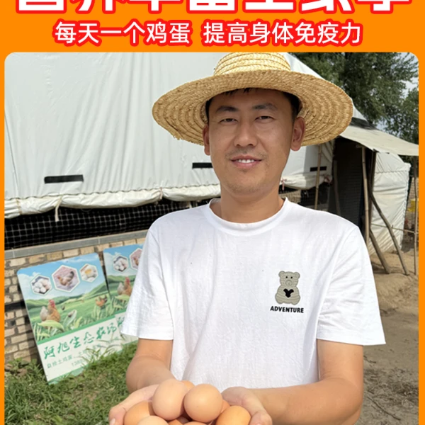 果树下的散养土鸡蛋，纯粮食纯绿色喂养，现捡现发/40枚/ 京东包邮