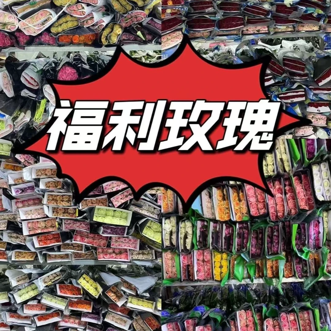 【盲盒福利】【40支方德小短腿玫瑰】3-4个品种花期长 两件升级顺丰