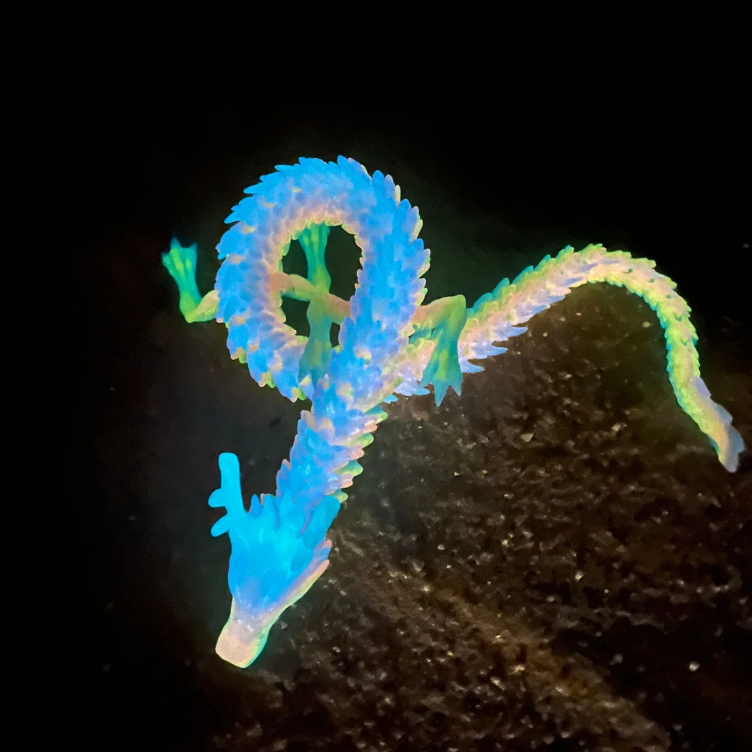 3d打印新款夜光中国龙儿童玩具手办龙摆件网红爆款模型造景神龙